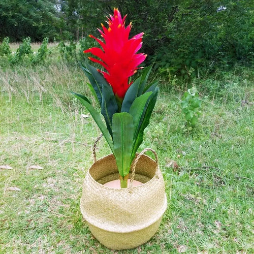 panier en osier suspendu pour fleurs ou rangement - vue 5 sur 16
