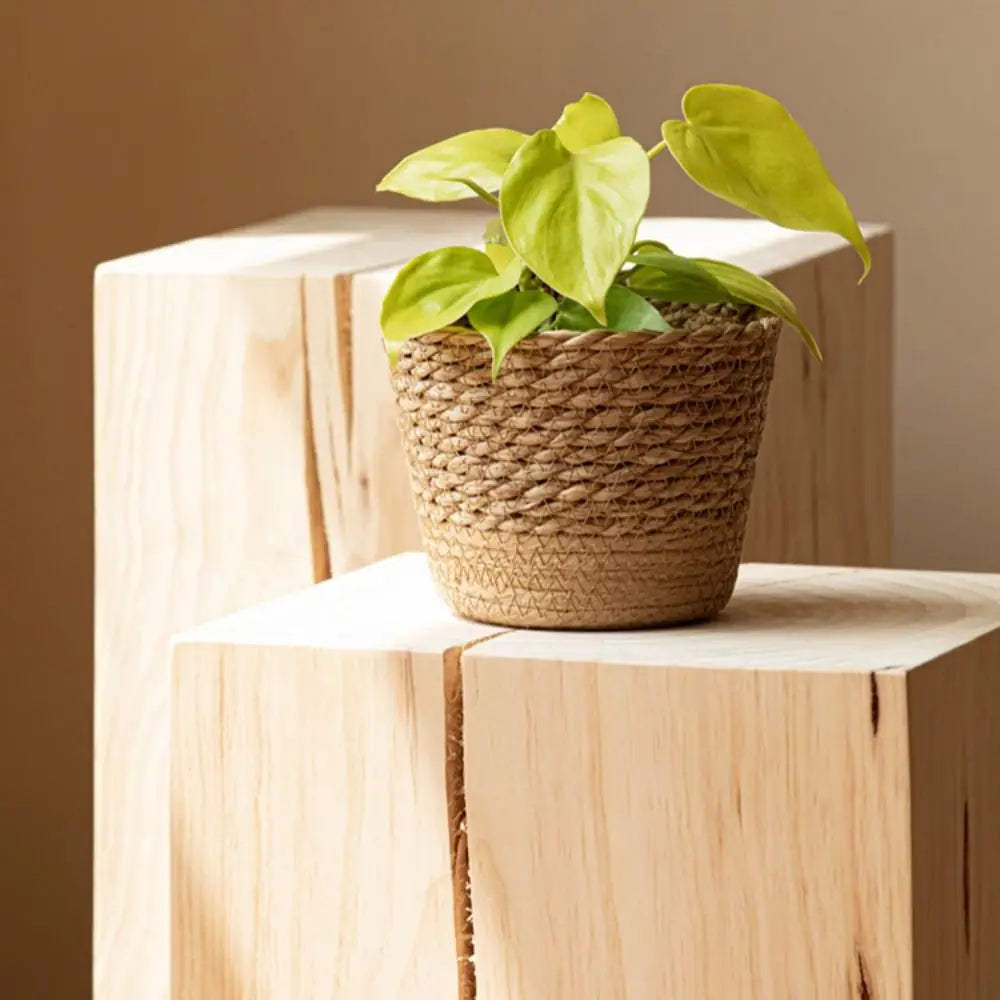 panier en osier tressé pour fleurs et rangement - vue 9 sur 9