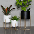 etagère à plantes dorée support à fleurs amovible et polyvalent