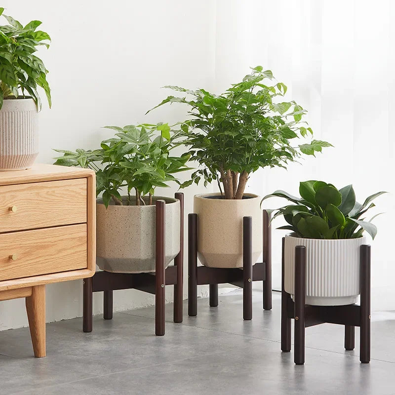 support en bois pour plantes et bonsaïs solide et durable - vue 4 sur 14