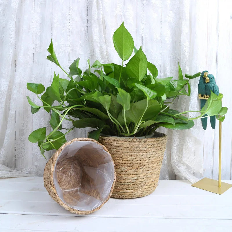panier en paille pour plantes d'intérieur et d'extérieur - vue 3 sur 28