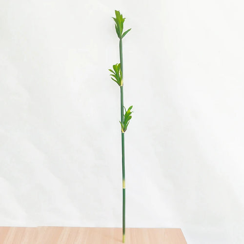 plantes artificielles en bambou pour décoration intérieure et extérieure - vue 8 sur 13