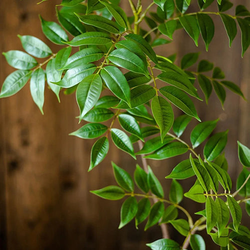 plantes artificielles grandes pour décoration intérieure et extérieure - vue 4 sur 6