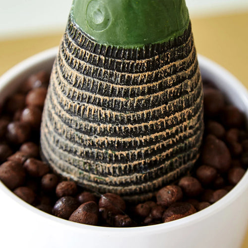 palmier tropical artificiel en pot pour décoration intérieure et extérieure - vue 6 sur 9