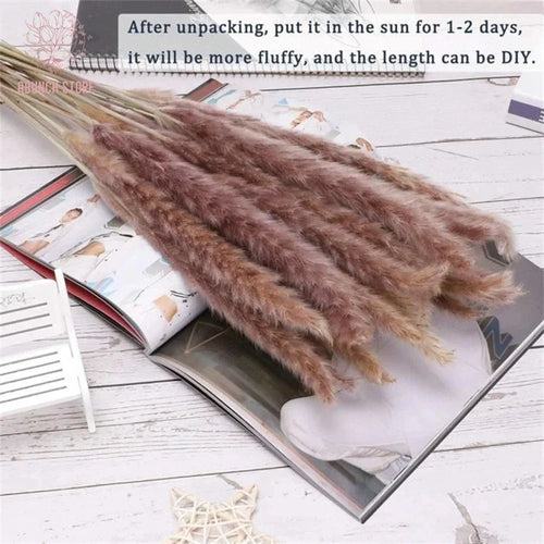 lot de 100 bouquets dherbe de pampa pour décoration bohème mariage - vue 5 sur 13