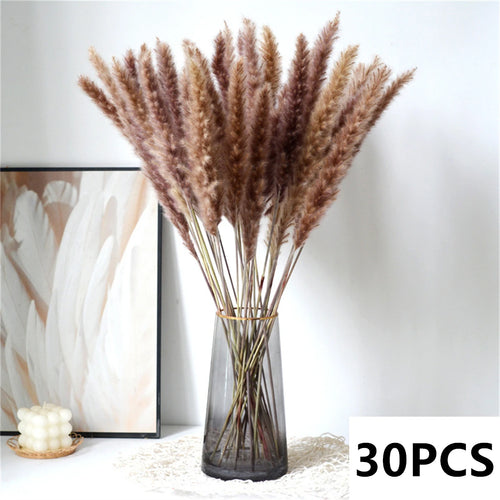 bouquet dherbe de pampa naturelle pour décoration et cadeaux - vue 19 sur 18