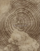 affiches abstraites sur les anneaux des arbres pour décoration intérieure