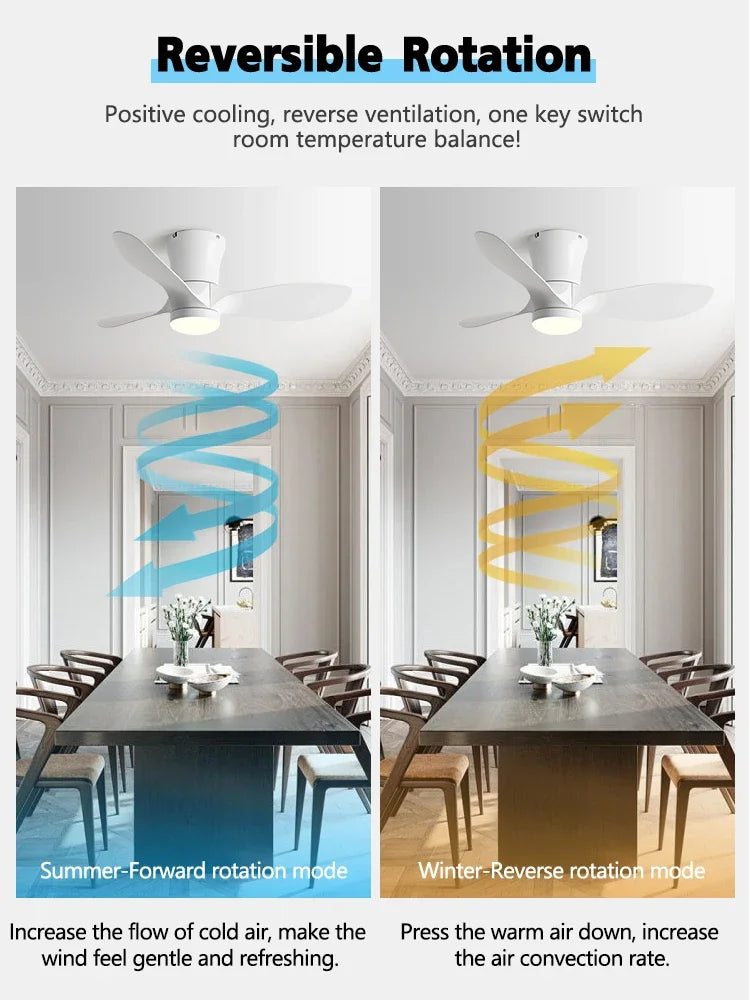 24CM Low Floor Loft Remote Control Lux&vitae Fan With Lights Modern Led Ceiling Fan Without Lights DC Motor 6 Speeds Timing Fans - vue 2 sur 11