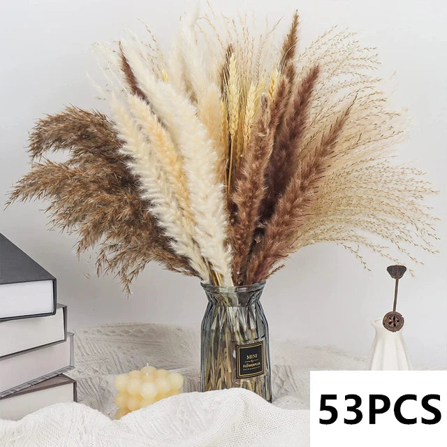 bouquet dherbe de pampa naturelle pour décoration et cadeaux - vue 11 sur 18