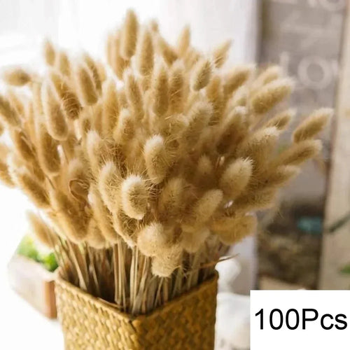 lot de 100 bouquets dherbe de pampa pour décoration bohème mariage - vue 14 sur 13