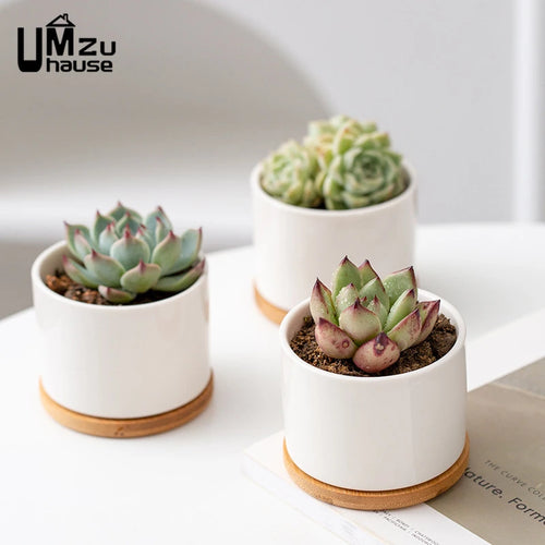 lot de 2 pots en céramique avec drainage pour plantes d'intérieur - vue 5 sur 7