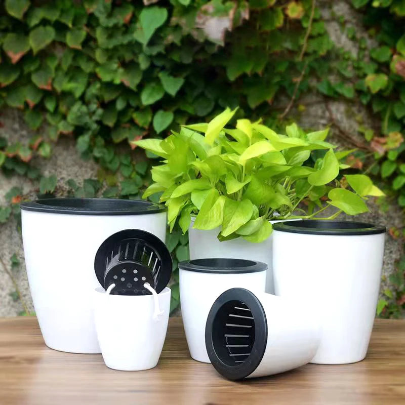 jardinière auto-arrosante moderne pour plantes succulentes et orchidées - vue 3 sur 12