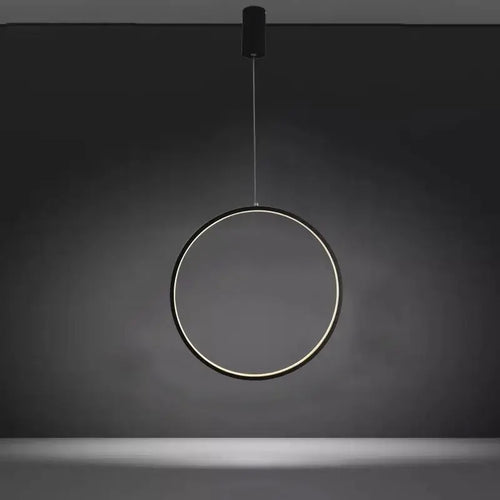suspension circulaire à led pour intérieur moderne - vue 9 sur 8