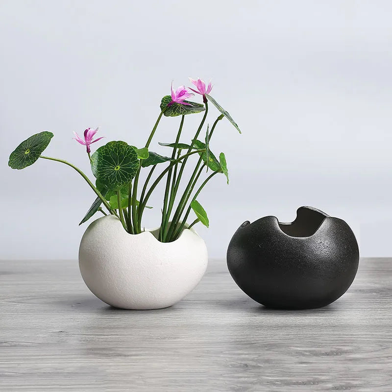 pot de fleurs hydroponique rétro en céramique pour plantes succulentes - vue 3 sur 9