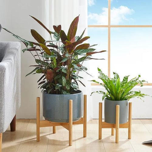 support en bois pour plantes et bonsaïs solide et durable - vue 2 sur 14