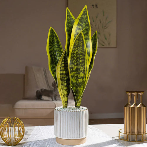 plantes artificielles succulentes en plastique pour décoration intérieure - vue 2 sur 12