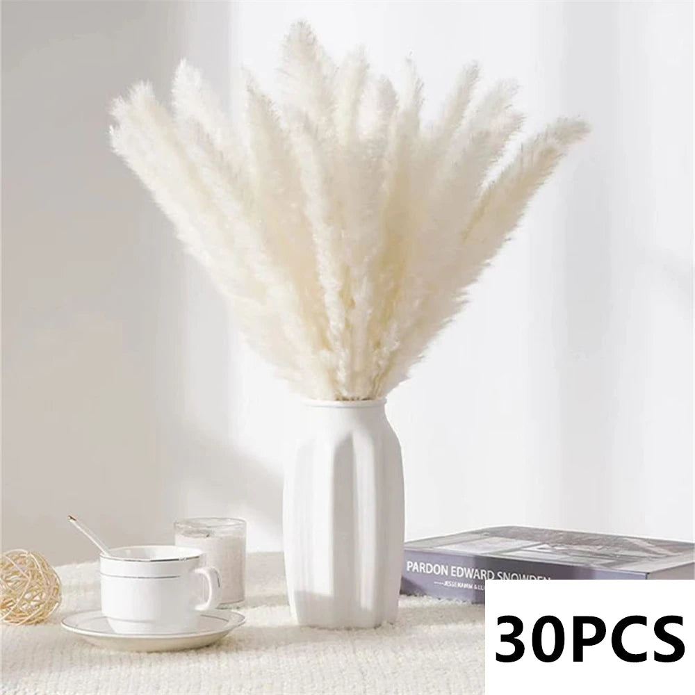 bouquet dherbe de pampa naturelle pour décoration et cadeaux - vue 13 sur 18
