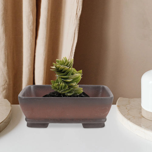pot en céramique chinois pour plantes succulentes et bonsaï avec drainage - vue 7 sur 7