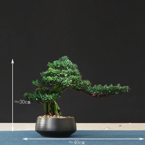 faux arbre bonsaï pour décoration intérieure et aménagement paysager - vue 34 sur 36