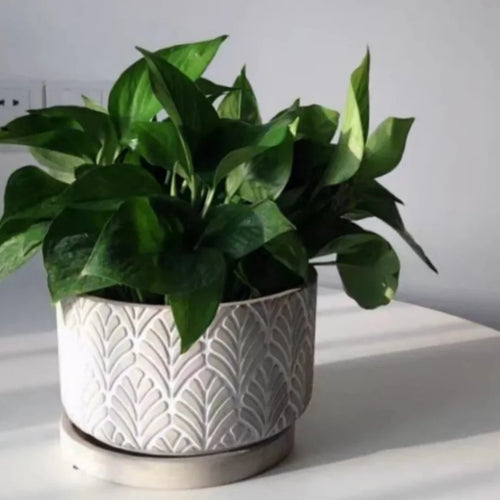 moule en silicone pour pot de fleurs béton motif feuilles - vue 5 sur 6
