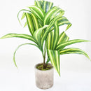 plante artificielle dracaena à trois fourches pour décoration intérieure