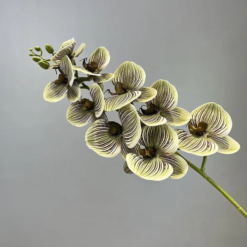 fleurs artificielles orchidée papillon en coton et silicone décoratives - vue 10 sur 12