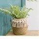 panier en osier tressé pour rangement et décoration polyvalente - vue 18 sur 18
