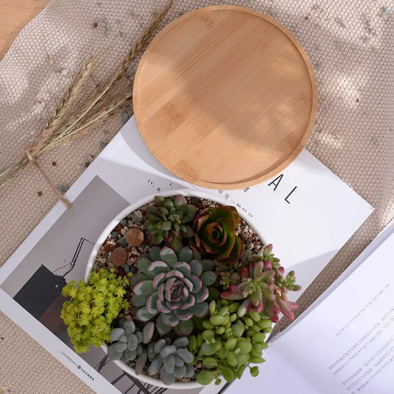pot en céramique pour plantes succulentes avec plateau en bambou - vue 6 sur 7