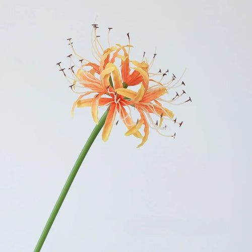 décoration en soie avec araignée lys fleurs artificielles - vue 14 sur 13