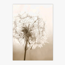 affiche-art-floral-en-toile-de-plage-d-coration-murale-nordique-0.png