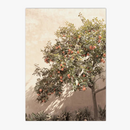affiche-artistique-de-la-ville-de-bellagio-en-toscane-6.png