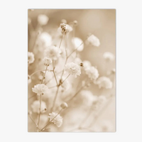 affiches de fleurs séchées en toile pour décoration murale