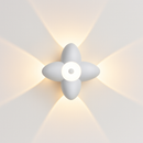 47184443179354|47184443212122