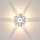 47184443244890|47184443277658