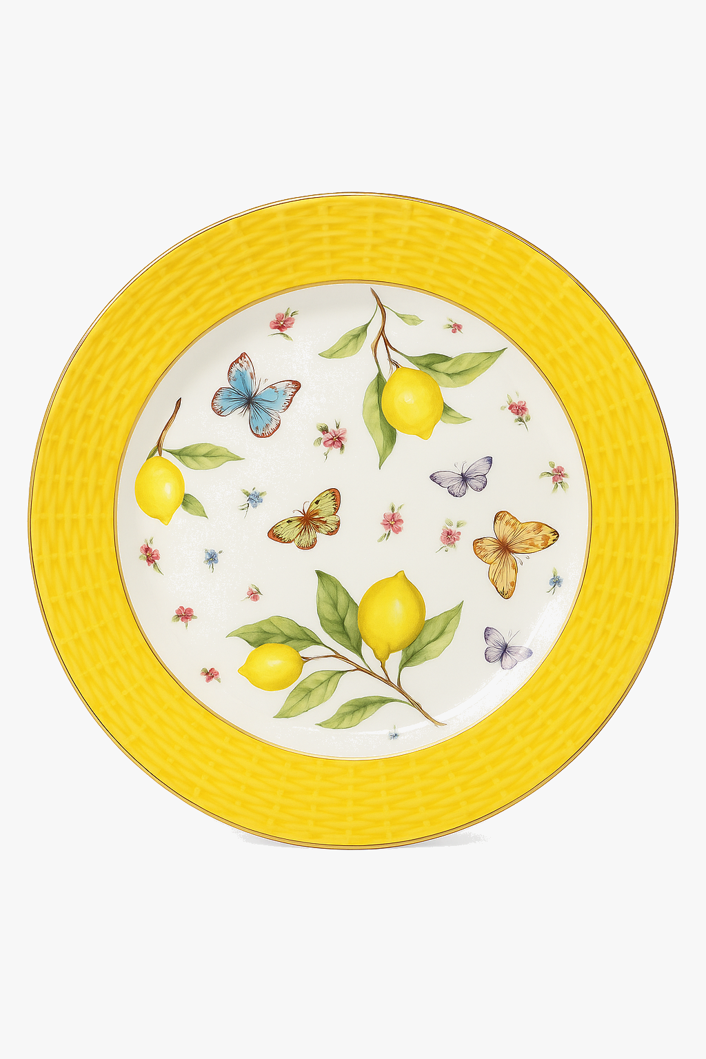 assiette-bol-en-c-ramique-motif-citron-style-europ-en-0.png