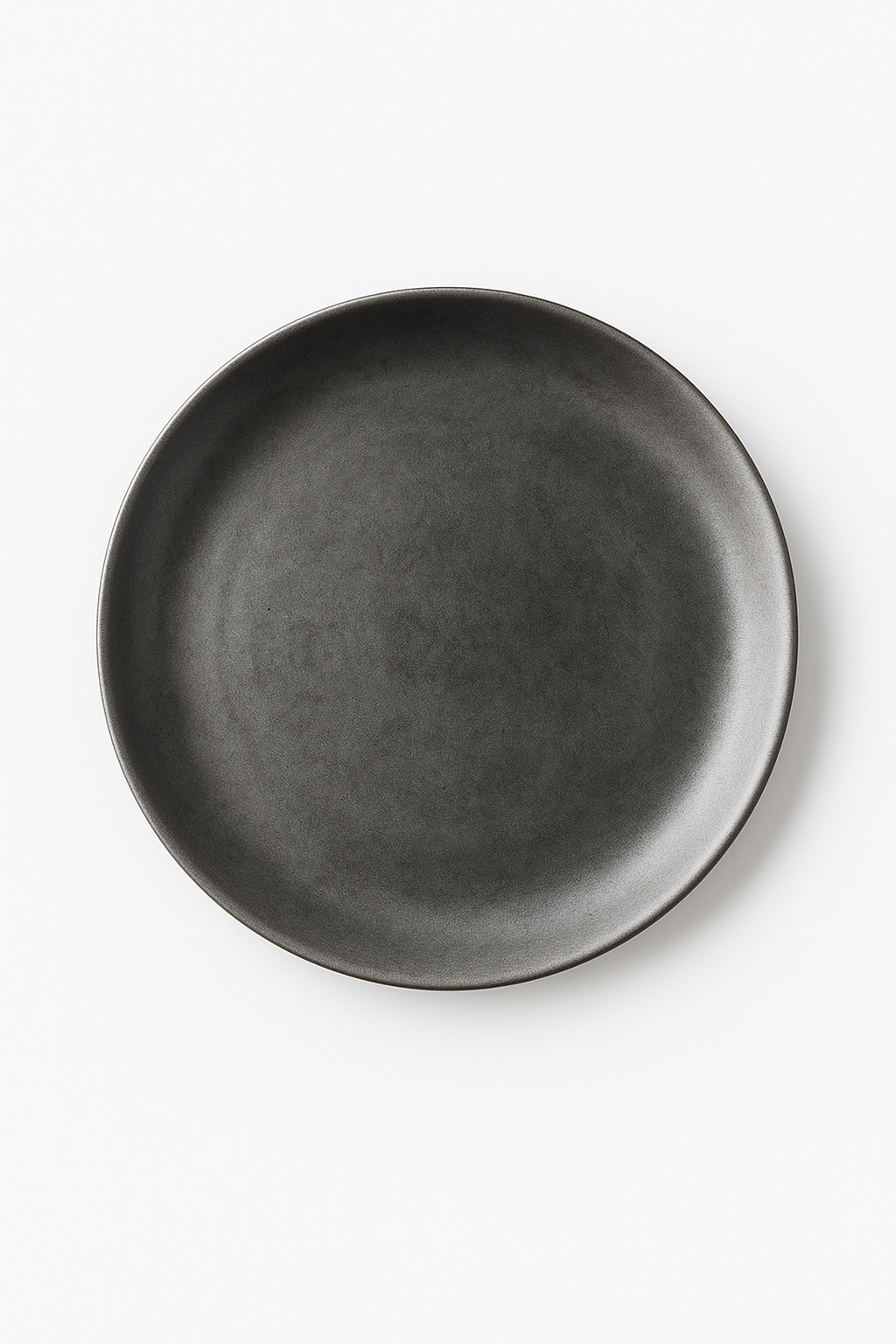 Assiette plate acier inoxydable style industriel vintage camping