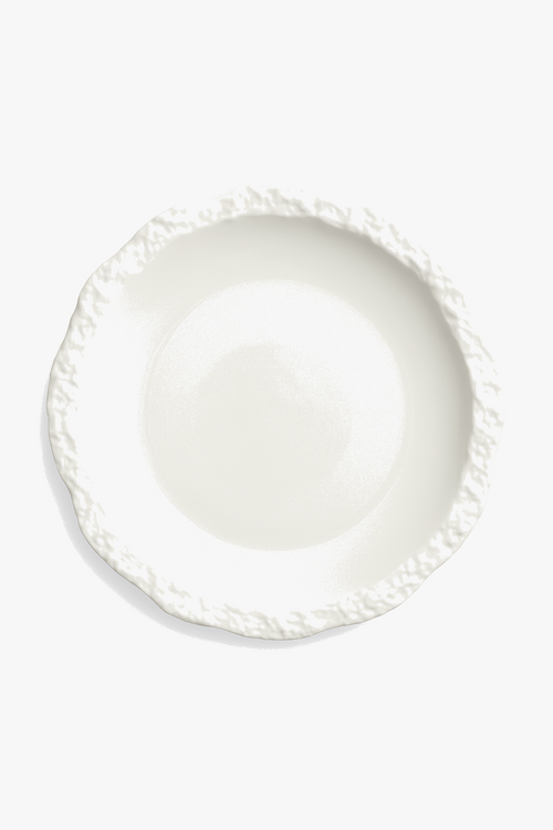 assiette-plate-c-ramique-forme-irr-guli-re-style-moderne-cuisine-0.png