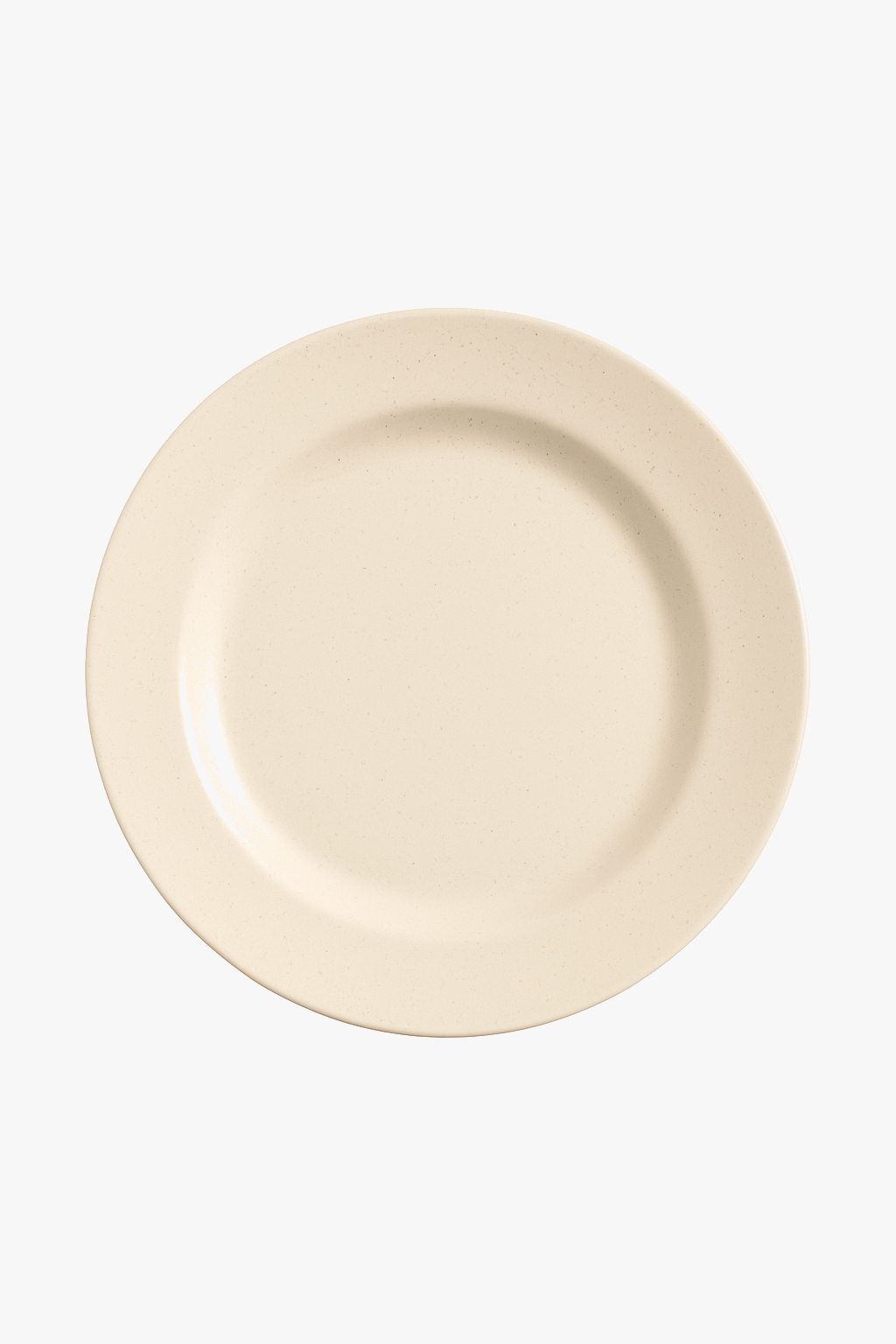 Assiettes nordiques polypropylène légères réutilisables pour cuisine