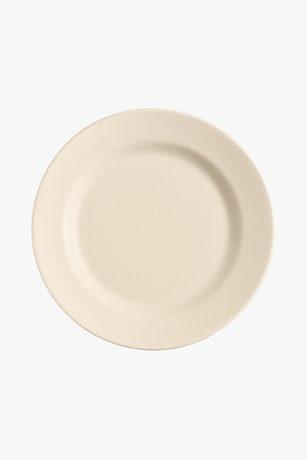 Assiettes rondes style nordique plastique leger reutilisable