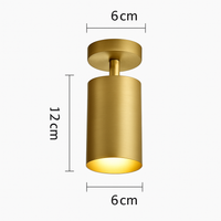 Barre spots LED en aluminium noir et doré Golden