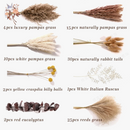 bouquet-dherbe-de-pampa-naturelle-pour-d-coration-et-cadeaux-3.png
