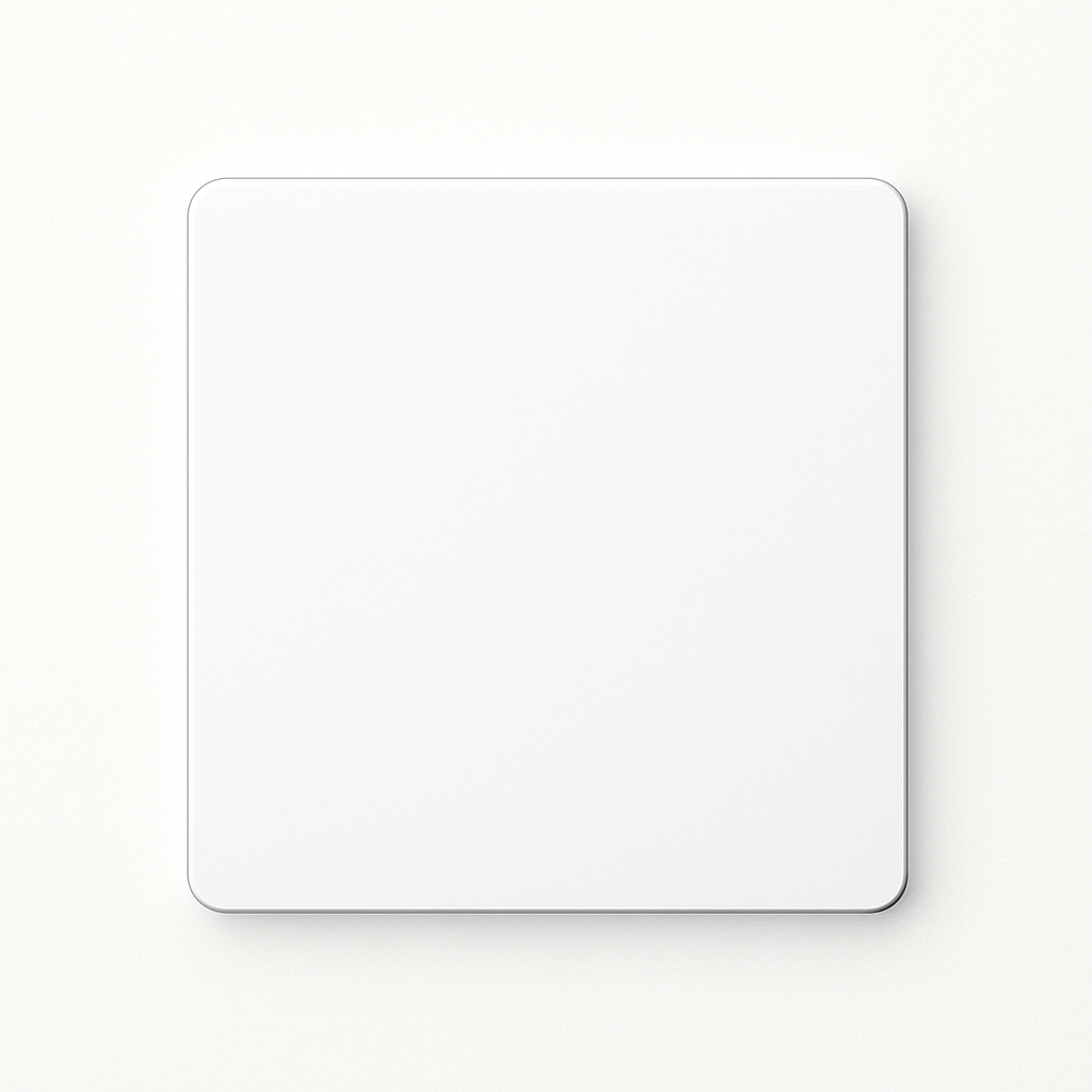 interrupteur-mural-bascule-2-voies-avec-prise-et-port-de-charge-0.png