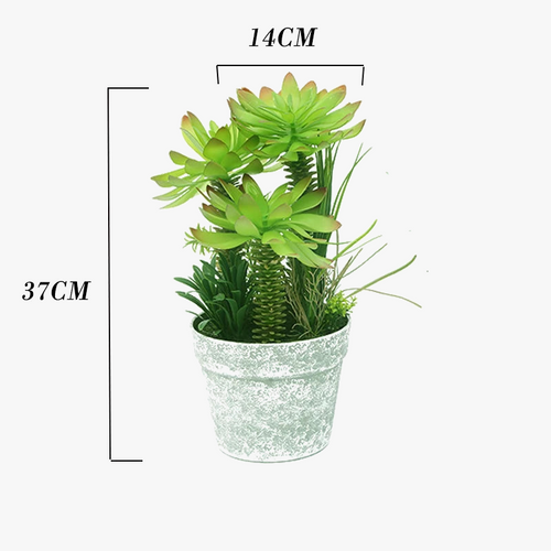 cactus-tropical-artificiel-pour-d-coration-de-bureau-9.png