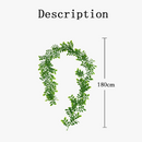 couronne-de-feuilles-d-eucalyptus-et-glycine-d-corative-pour-f-tes-5.png