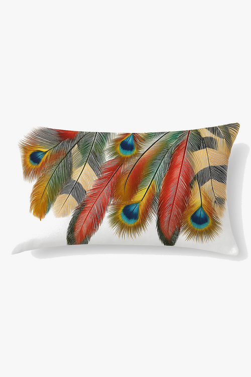 coussin-d-coratif-rectangulaire-imprim-plumes-30-x-50-cm-0.png