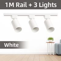 ensemble complet de rails d'éclairage à led remplaçable pour intérieur
