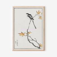 ensemble de 3 affiches oiseaux vintage japonais sur branches