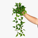 feuilles-de-past-que-en-plastique-pour-d-coration-int-rieure-et-ext-rieure-1.png