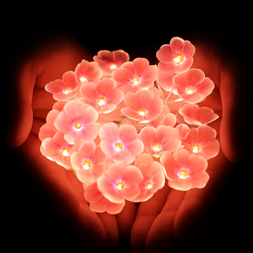guirlande lumineuse 30 led cerisier rose pour décoration extérieure - vue 3 sur 6