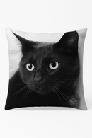 housse de coussin carrée chat noir pour décoration intérieure